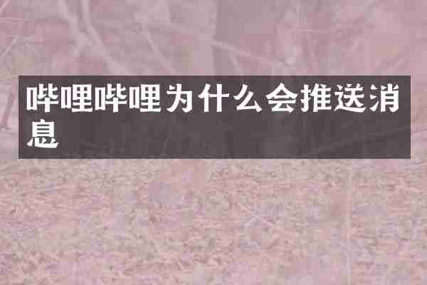 哔哩哔哩为什么会推送消息