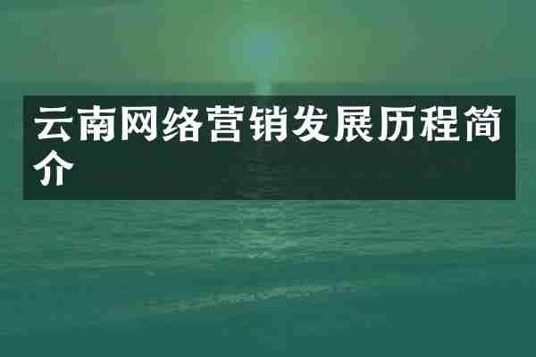 云南网络营销发展历程简介