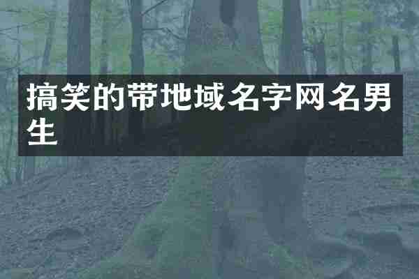 搞笑的带地域名字网名男生