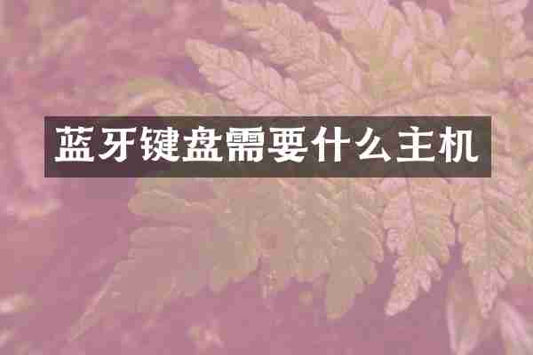 蓝牙键盘需要什么主机