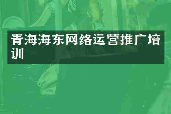 青海海东网络运营推广培训