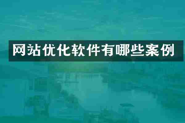 网站优化软件有哪些案例