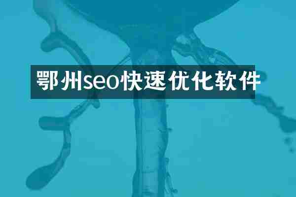 鄂州seo快速优化软件