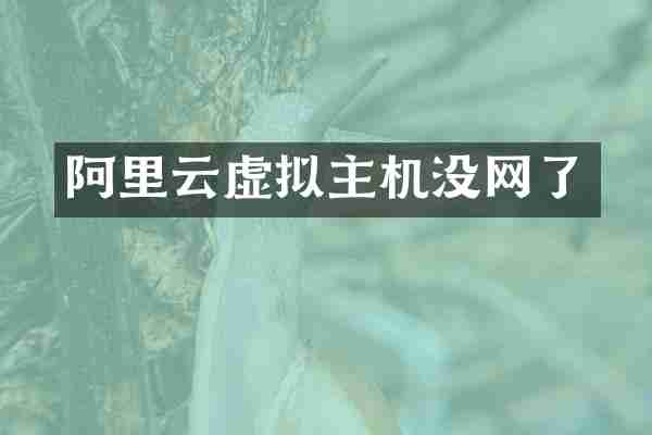 阿里云虚拟主机没网了