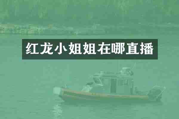 红龙小姐姐在哪直播