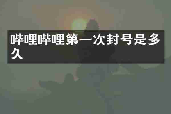 哔哩哔哩第一次封号是多久