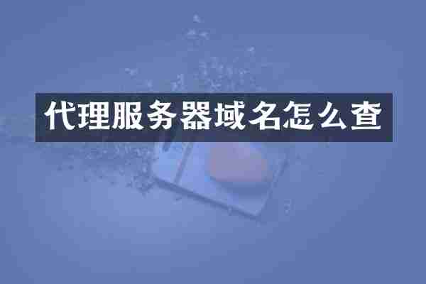 代理服务器域名怎么查
