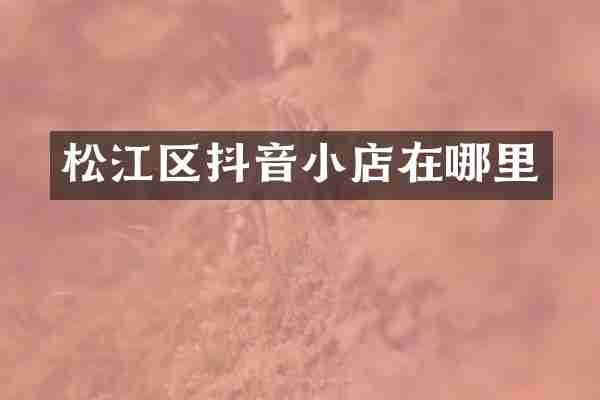 松江区抖音小店在哪里