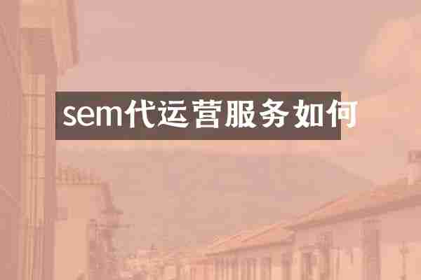 sem代运营服务如何