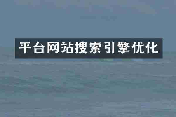 平台网站搜索引擎优化