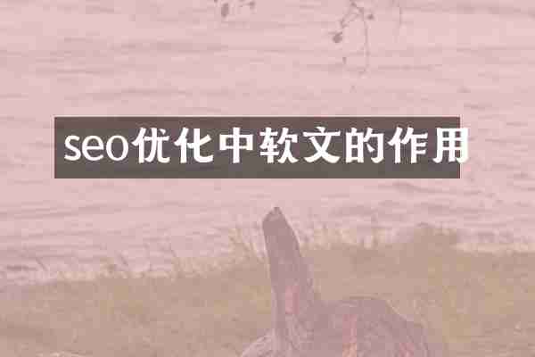 seo优化中软文的作用