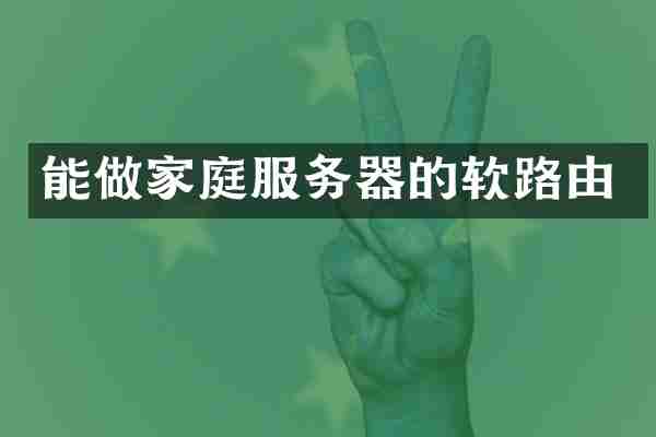 能做家庭服务器的软路由