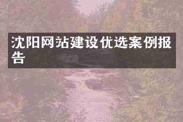 沈阳网站建设优选案例报告