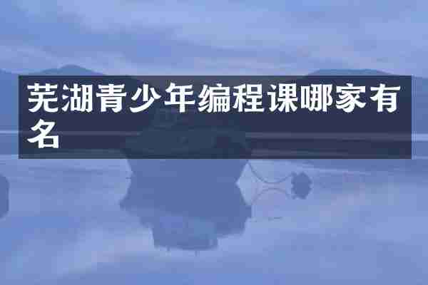 芜湖青少年编程课哪家有名