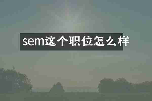 sem这个职位怎么样