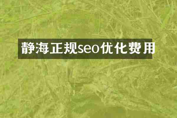 静海正规seo优化费用