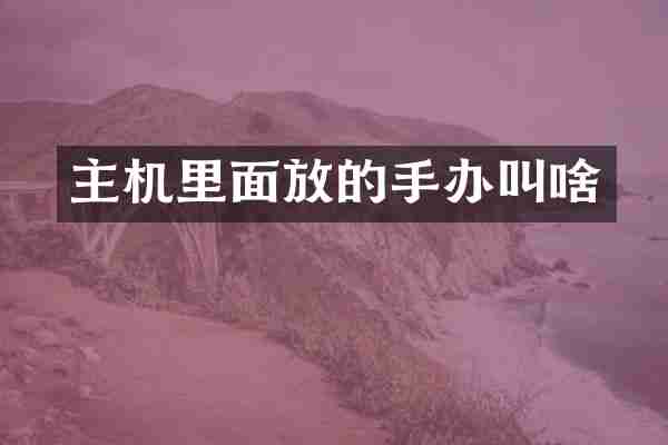 主机里面放的手办叫啥