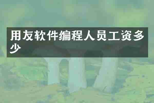 用友软件编程人员工资多少