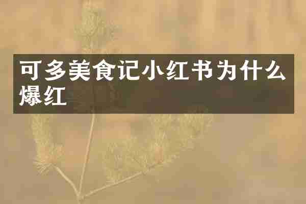 可多美食记小红书为什么爆红