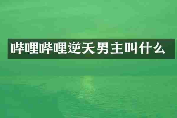 哔哩哔哩逆天男主叫什么