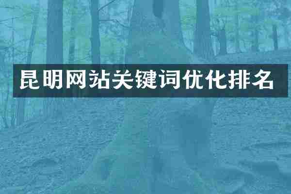 昆明网站关键词优化排名