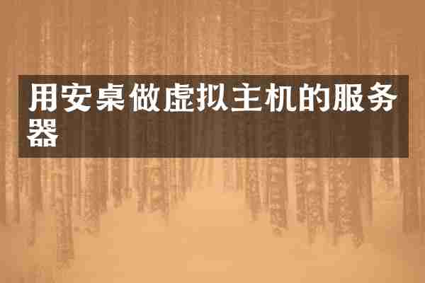 用安桌做虚拟主机的服务器