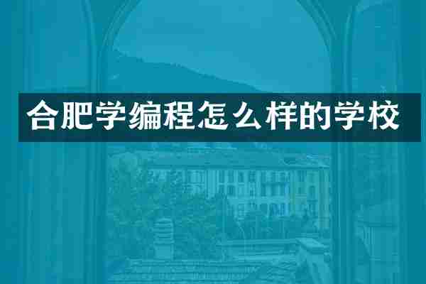 合肥学编程怎么样的学校