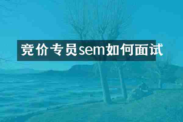 竞价专员sem如何面试