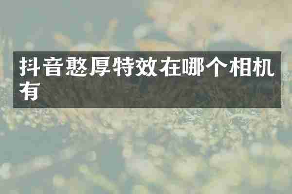 抖音憨厚特效在哪个相机有