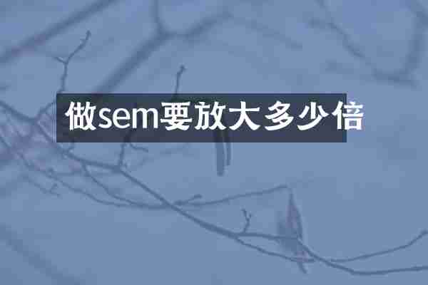 做sem要放大多少倍