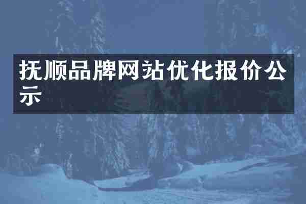 抚顺品牌网站优化报价公示