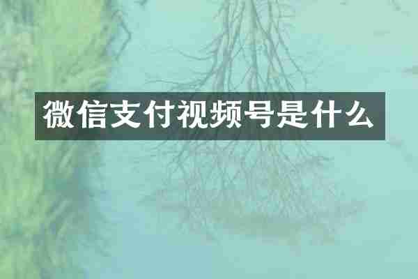 微信支付视频号是什么
