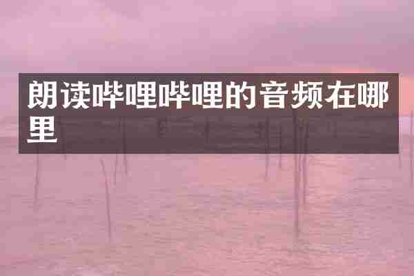 朗读哔哩哔哩的音频在哪里