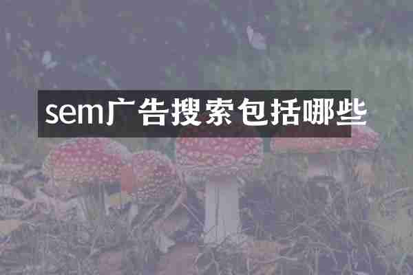 sem广告搜索包括哪些