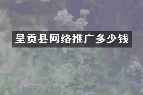 呈贡县网络推广多少钱