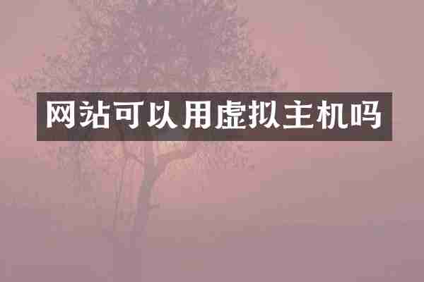 网站可以用虚拟主机吗