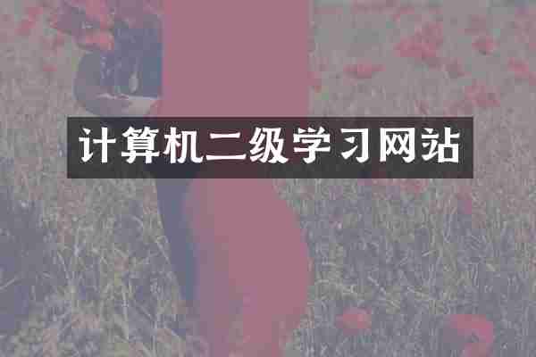 计算机二级学习网站
