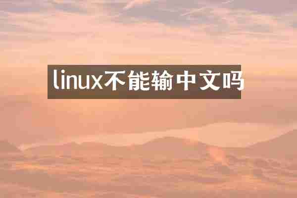 linux不能输中文吗