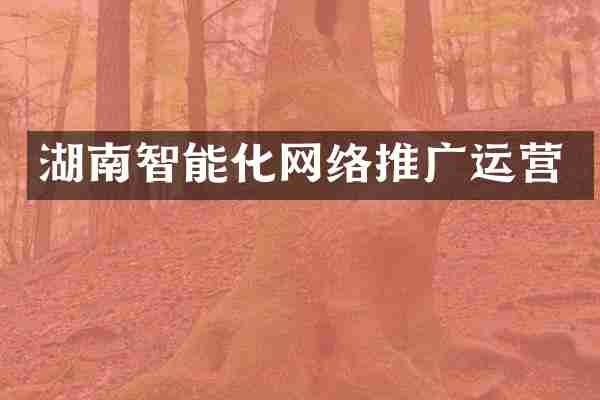 湖南智能化网络推广运营