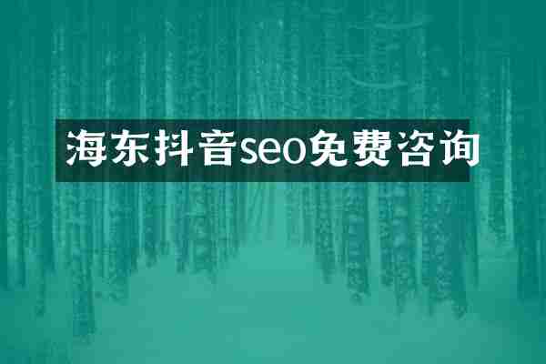 海东抖音seo免费咨询