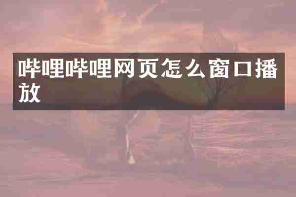 哔哩哔哩网页怎么窗口播放