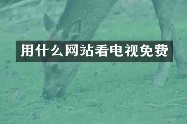 用什么网站看电视免费
