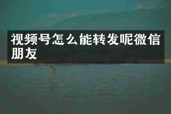 视频号怎么能转发呢微信朋友