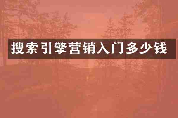 搜索引擎营销入门多少钱