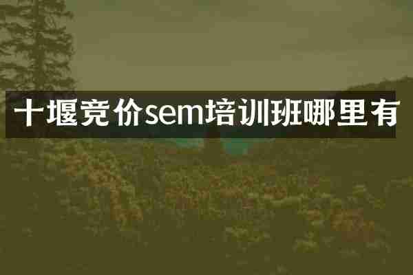 十堰竞价sem培训班哪里有