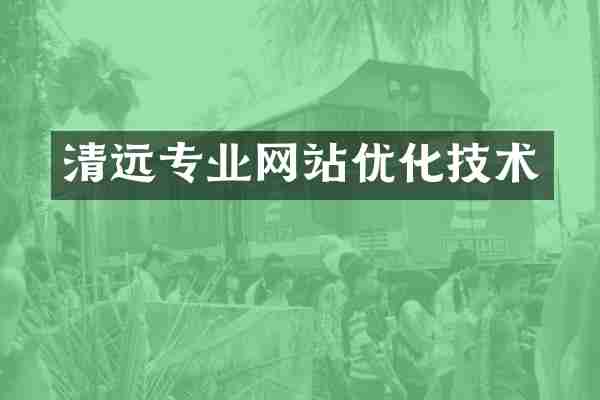 清远专业网站优化技术