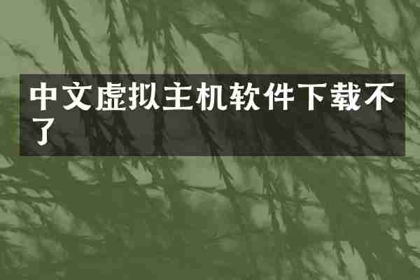 中文虚拟主机软件下载不了