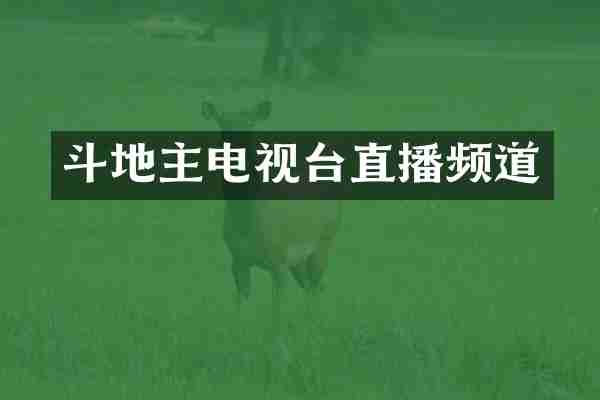 斗地主电视台直播频道