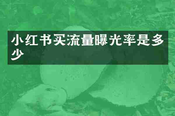 小红书买流量曝光率是多少
