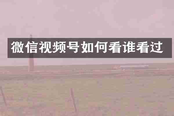 微信视频号如何看谁看过